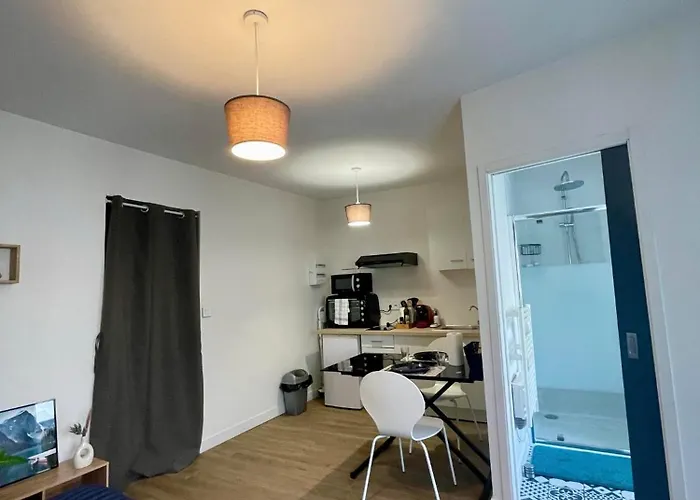 Cosy Proche Gare Angers